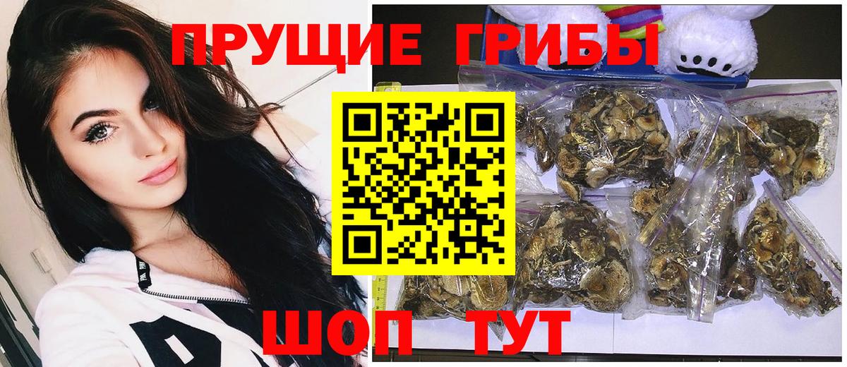 Псилоцибиновые грибы Psilocybine cubensis  Вход с VPN  Галлюциногенные грибы мухоморы  Россошь 