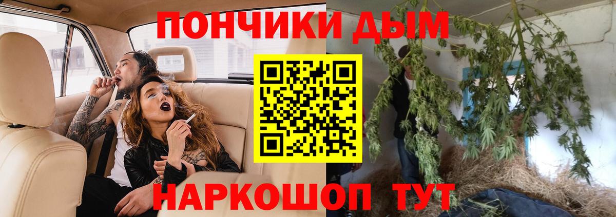 Бошки марихуана ГИДРОПОН  Бошки марихуана ГИДРОПОН  Конопля White Widow  Вход с VPN  Бошки марихуана AK-47  Россошь 